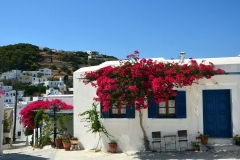 Paros Island Cyclades Greece 009